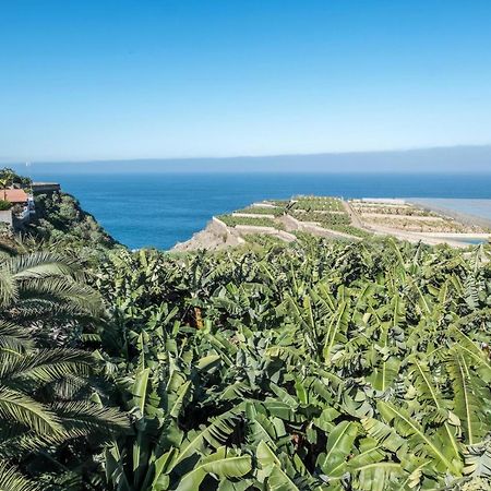 Finca Alejandrina La Guancha Eksteriør billede