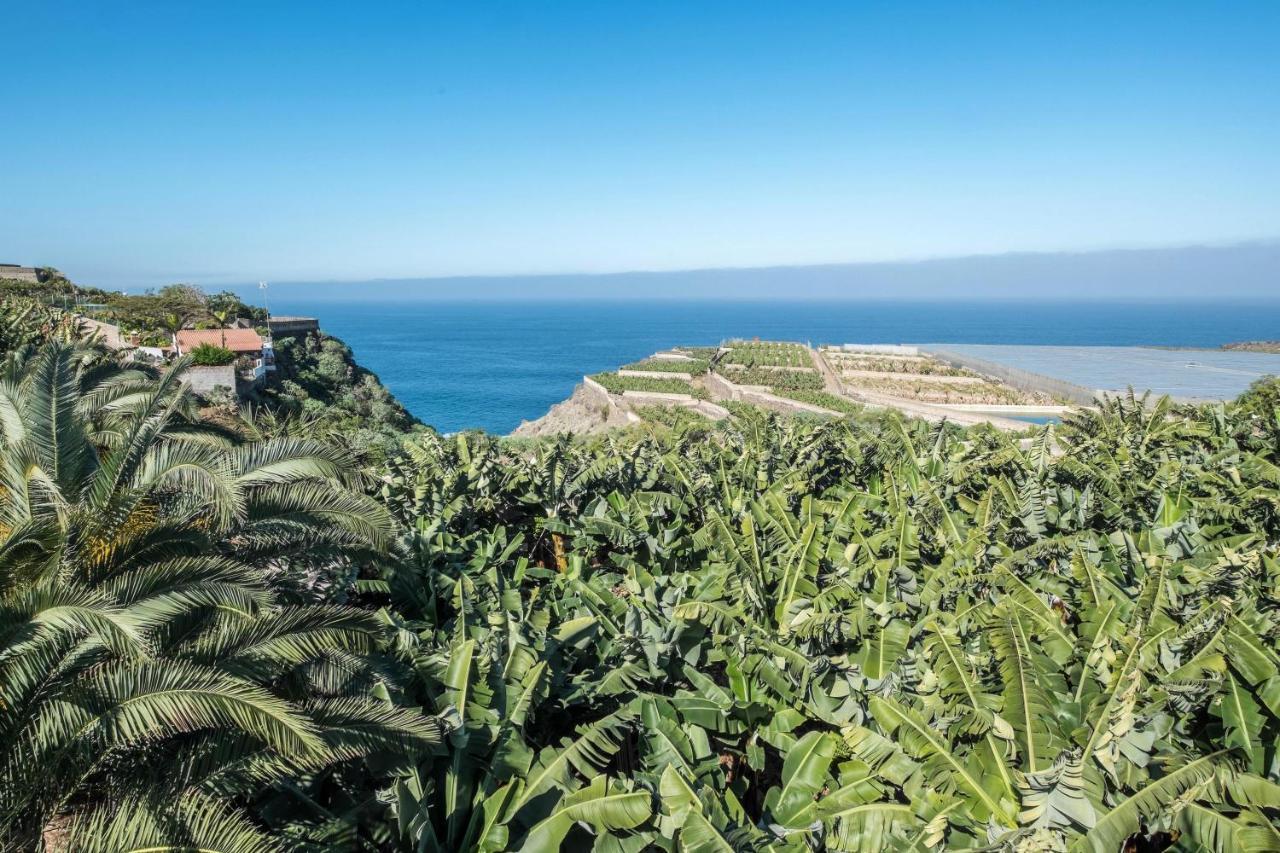 Finca Alejandrina La Guancha Eksteriør billede