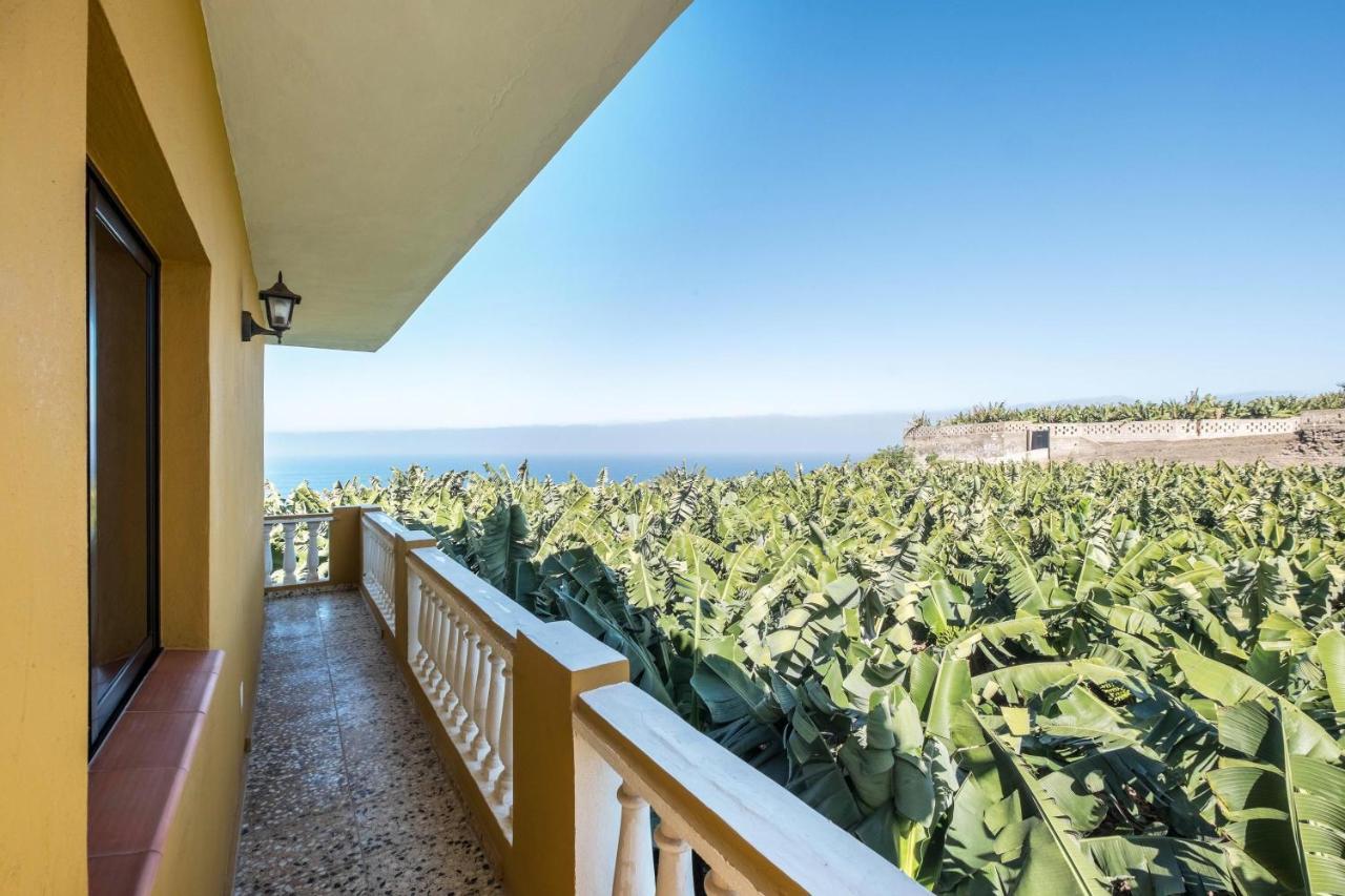 Finca Alejandrina La Guancha Eksteriør billede
